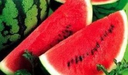 吃瓜是营养吗,吃瓜真的能补充营养吗？揭秘瓜果的养生秘密