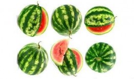 俄罗斯农场吃瓜,瓜果飘香，欢乐满园