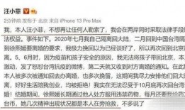 吃瓜前夫小说,揭秘娱乐圈背后的婚姻真相