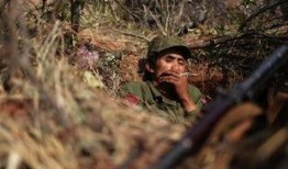 果敢吃瓜视频,揭秘娱乐圈幕后真相