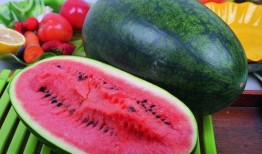 伤吃瓜的人,揭秘人生百态的酸甜苦辣