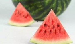 吃瓜上海妈妈,品味人间烟火，乐享亲子时光