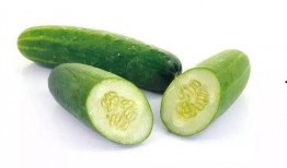 素瓜适合减肥吃,健康减肥新选择