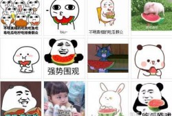 吃瓜吃的明白吗