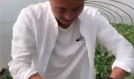 西安吃瓜直播间,揭秘古城美食背后的故事与趣闻