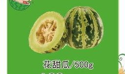 中班吃瓜大赛,吃瓜大赛趣味横生