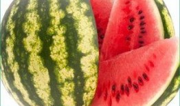 天天吃瓜也吃不够,天天吃瓜，回味无穷