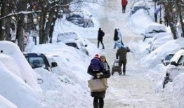 吃瓜的大雪,吃瓜群众围观娱乐圈风云