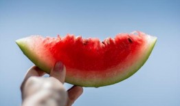 吃瓜会唱歌,揭秘“吃瓜会唱歌”的神奇魅力