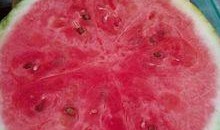 磐石医院吃瓜,揭秘背后的真相与争议