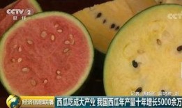 吃瓜中国网站,揭秘娱乐圈幕后故事与热点事件