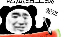 吃瓜吃的明白吗