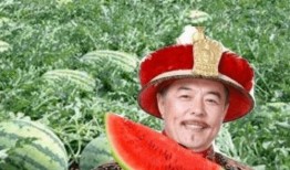 兴隆宫吃瓜,夏日吃瓜盛宴来袭