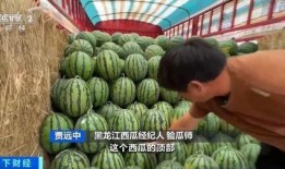 莱州沙河幼师喷水吃瓜,一场校园清凉趣事的背后