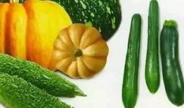 瓜要怎样吃才好,解锁最佳食用之道