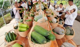 家居展会吃瓜,吃瓜群众眼中的时尚盛宴