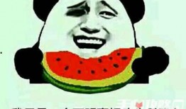 坐等吃瓜什么梗,揭秘娱乐圈幕后真相