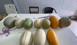 杭州男子吃瓜视频,揭秘网络热传背后的故事