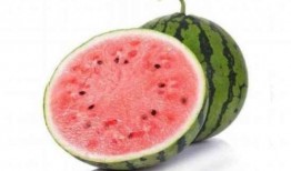 吃麒麟瓜视频犯困,网友直呼“太困了！”