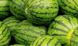 吃内蒙的瓜,品味草原上的甜蜜诱惑