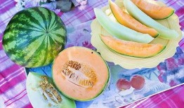 梦见瓜地吃瓜,瓜果飘香中的味蕾之旅