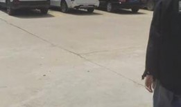 吃瓜鸭子的视频,揭秘鸭界“吃瓜群众”的欢乐时光