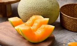 喵咪吃哈密瓜,一场味蕾与视觉的盛宴