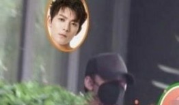 星叶吃瓜剧情解析,揭秘娱乐圈背后的真相与阴谋