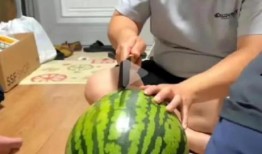 吃瓜是什么直播