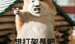 吃瓜变猿猴,揭秘神奇生物进化之谜