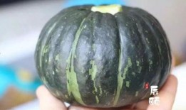 贝贝瓜宝宝怎么吃,轻松解锁美味新体验