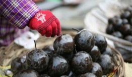 东北漠河吃瓜砂糖橘,冰原上的甜蜜瓜果时光