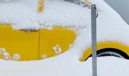 吃瓜的大雪,吃瓜群众围观娱乐圈风云