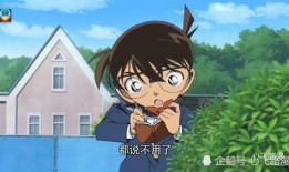 柯南之反派吃瓜日常