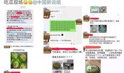 吃瓜中国网站,揭秘娱乐圈幕后故事与热点事件