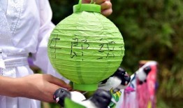 七夕吃瓜后续,揭秘背后真相与网络舆论的狂欢