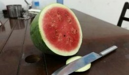 同事喜欢吃瓜,揭秘同事的“瓜”情趣