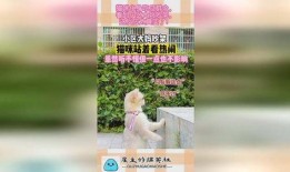 吵架小区吃瓜,小区吃瓜事件背后的真相揭秘