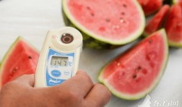 梦到跟爱的人吃瓜,与爱人共享瓜果时光