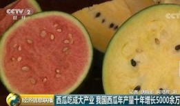 吃瓜吃到中国,揭秘网络舆论背后的真相与影响