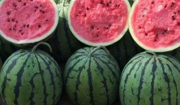 吃瓜在线观看网站,在线观看，畅享娱乐盛宴