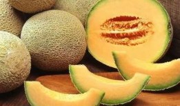 喵咪吃哈密瓜,一场味蕾与视觉的盛宴