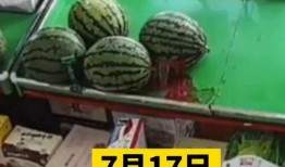 辽宁沈阳吃瓜,探寻东北美食的魅力