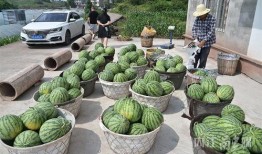 昊北吃瓜,揭秘娱乐圈背后的那些事儿