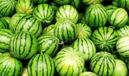 吃瓜的妙招,轻松掌握吃瓜技巧，畅享夏日清凉