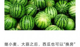 最近吃瓜的新闻,明星恋情曝光，幕后真相揭秘