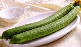 吃瓜网传LyF,揭秘吃瓜网上的热门话题与幕后故事