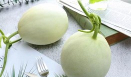 东海吃瓜,揭秘吃瓜群众的狂欢盛宴