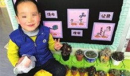 幼稚园吃瓜,欢乐时光里的成长点滴