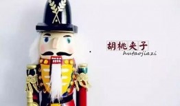 胡桃夹子2024吃瓜,吃瓜群众揭秘年度悬疑大剧